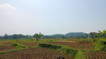 Gambar 1 DI JUAL TANAH SAWAH. LOKASI SANGAT STRATEGIS VIEW LEPAS 