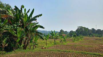 Gambar 2 DI JUAL TANAH SAWAH. LOKASI SANGAT STRATEGIS VIEW LEPAS 