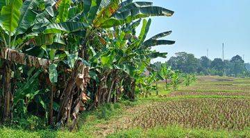 Gambar 3 DI JUAL TANAH SAWAH. LOKASI SANGAT STRATEGIS VIEW LEPAS 