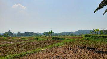 Gambar 4 DI JUAL TANAH SAWAH. LOKASI SANGAT STRATEGIS VIEW LEPAS 