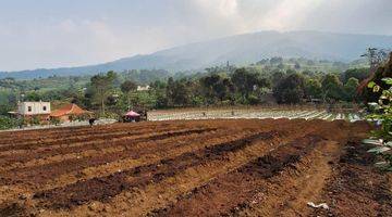 Gambar 1 DI JUAL LAHAN TANAH PRODUKTIF LOKASI SANGAT STRATEGIS VIEW LEPAS 