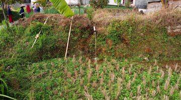 Gambar 1 DI JUAL TANAH SAWAH MURAH 