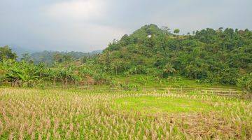 Gambar 4 DI JUAL TANAH SAWAH MURAH 