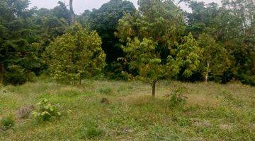 Gambar 2 DI JUAL LAHAN TANAH CEPAT LOKASI SANGAT STRATEGIS. 