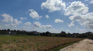 Gambar 3 Tanah Kavling Premium View Sawah Mulai 1 Are Umalas Kerobokan