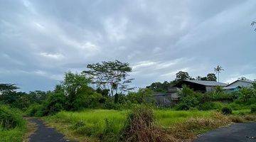 Gambar 5 Tanah 3750m2 Panglan Kapal Mengwi Badung