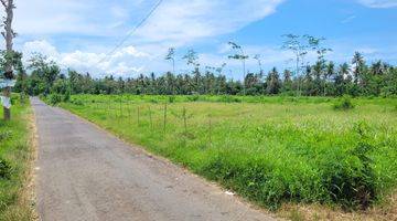 Gambar 1 Tanah Bulusan Luas, Banyuwangi, Dekat Ketapang Indah Hotel