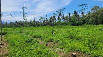 Gambar 3 Tanah Bulusan Luas, Banyuwangi, Dekat Ketapang Indah Hotel