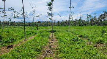 Gambar 4 Tanah Bulusan Luas, Banyuwangi, Dekat Ketapang Indah Hotel