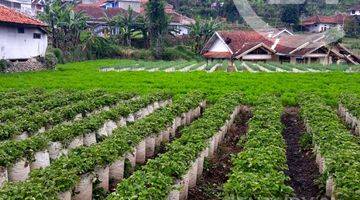 Gambar 2 Tanah di Jl Raya Ciwidey, Bandung, Kawasan Sejuk