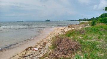 Gambar 2 Tanah los Pantai pasir putih SHM