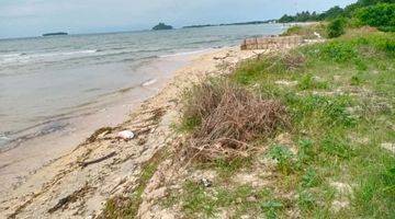 Gambar 1 Tanah los Pantai pasir putih SHM