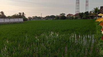 Gambar 3 TANAH SAWAH DI GUNUNG KALER TANGERANG