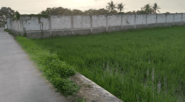 Gambar 1 TANAH SAWAH DI GUNUNG KALER TANGERANG