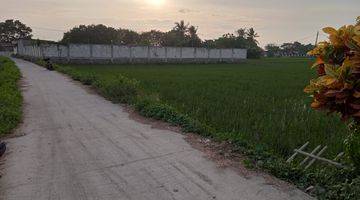 Gambar 5 TANAH SAWAH DI GUNUNG KALER TANGERANG