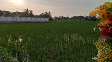 Gambar 2 TANAH SAWAH DI GUNUNG KALER TANGERANG