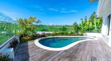 Gambar 4 Rice Paddy View American Classic 5 Bedroom Villa In Berawa Canggu