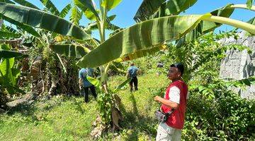 Gambar 3 Dijual Tanah Di Tumbak Bayuh Pererenan Canggu