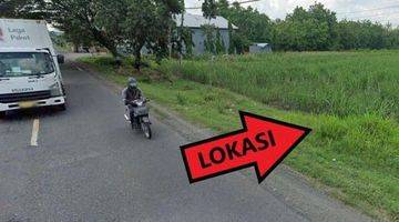 Gambar 3 Dijual Tanah di Sidowayah, Kedunggalar, Ngawi