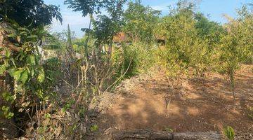 Gambar 1 Nunggalan Pecatu Land area for Lease