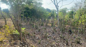 Gambar 3 Nunggalan Pecatu Land area for Lease