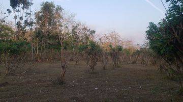 Gambar 1 Nunggalan Pecatu Land for Lease