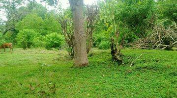 Gambar 2 Nunggalan Pecatu Land area for Lease