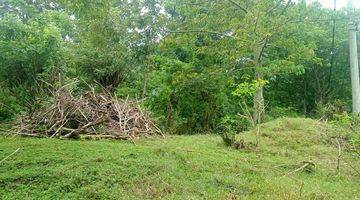 Gambar 3 Nunggalan Pecatu Land area for Lease