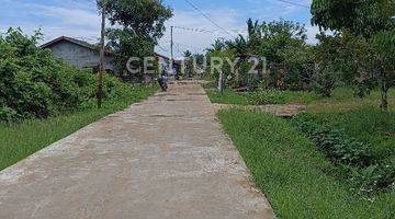 Gambar 2 Rumah Dgn Tanah Yg Luas Gg. Anom Aliami Tanjung Hulu