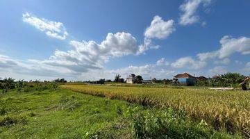 Gambar 5 Tanah Kavlingan Berlokasi Di By Pass Ir. Soekarno Tabanan