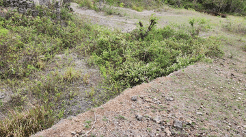 Gambar 4 Tanah di Kutuh, Nusa Dua Dekat Dengan Pantai Gunung Payung 