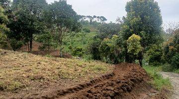 Gambar 2 Rumah Villa Cijeruk Gajoh hill Alima