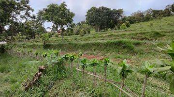 Gambar 1 Tanah murah Cijeruk bogor best view gunung Salak