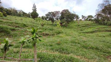 Gambar 2 Tanah murah Cijeruk bogor best view gunung Salak