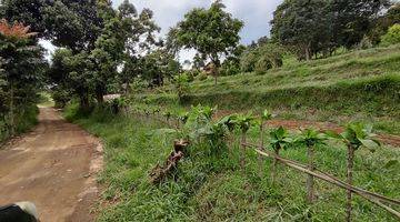 Gambar 5 Tanah murah Cijeruk bogor best view gunung Salak