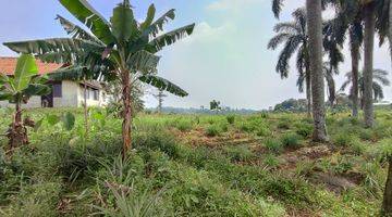 Gambar 4 Tanah cijeruk bogor dijual murah bawah Good view