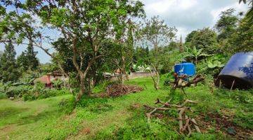 Gambar 4 Tanah dijual cijeruk bogor patung gajah camp