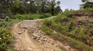 Gambar 4 Tanah Murah Bogor Best View Dekat Puncak 2