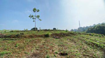 Gambar 3 Tanah Murah Gunung geulis Dekat Kopi Nako