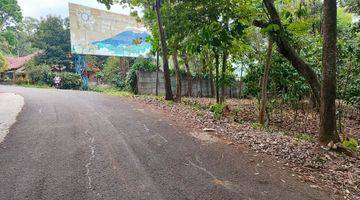 Gambar 4 Tanah Dijual Cepat Dekat Rainbow hill Shm