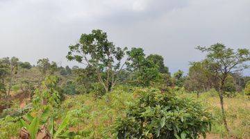 Gambar 5 Tanah Murah cijeruk Bogor Dekat Kopi Nego