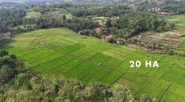 Gambar 2 Dijual Tanah 27 Hektar di Cilaku Cianjur Cocok Wisata Alam