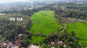 Gambar 4 Dijual Tanah 27 Hektar di Cilaku Cianjur Cocok Wisata Alam