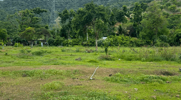 Gambar 1 Dijual Tanah Pinggir Jalan Utama Buleleng gilimanuk