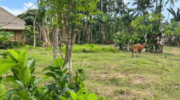 Gambar 5 Dijual segera lahan strategis hanya 5 menit dari pantai saba