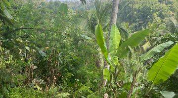 Gambar 4 Dijual Segera Lahan Cantik Dan Langka, Los Sungai Ayung, Ubud