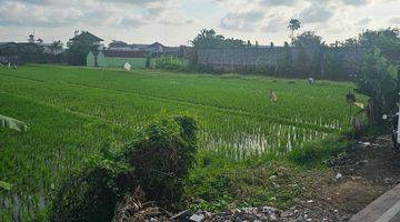 Gambar 2 Di Jual Segera Lahan Kosong Dekat Terminal Mengwi