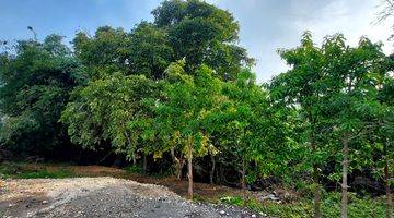 Gambar 3 Prime Riverside Land For Sale At Berawa Canggu