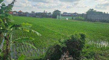 Gambar 3 Di Jual Segera Lahan Kosong Dekat Terminal Mengwi