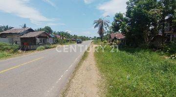 Gambar 5 Tanah Tepi Jalan Trans Kalimantan 50 M X 400